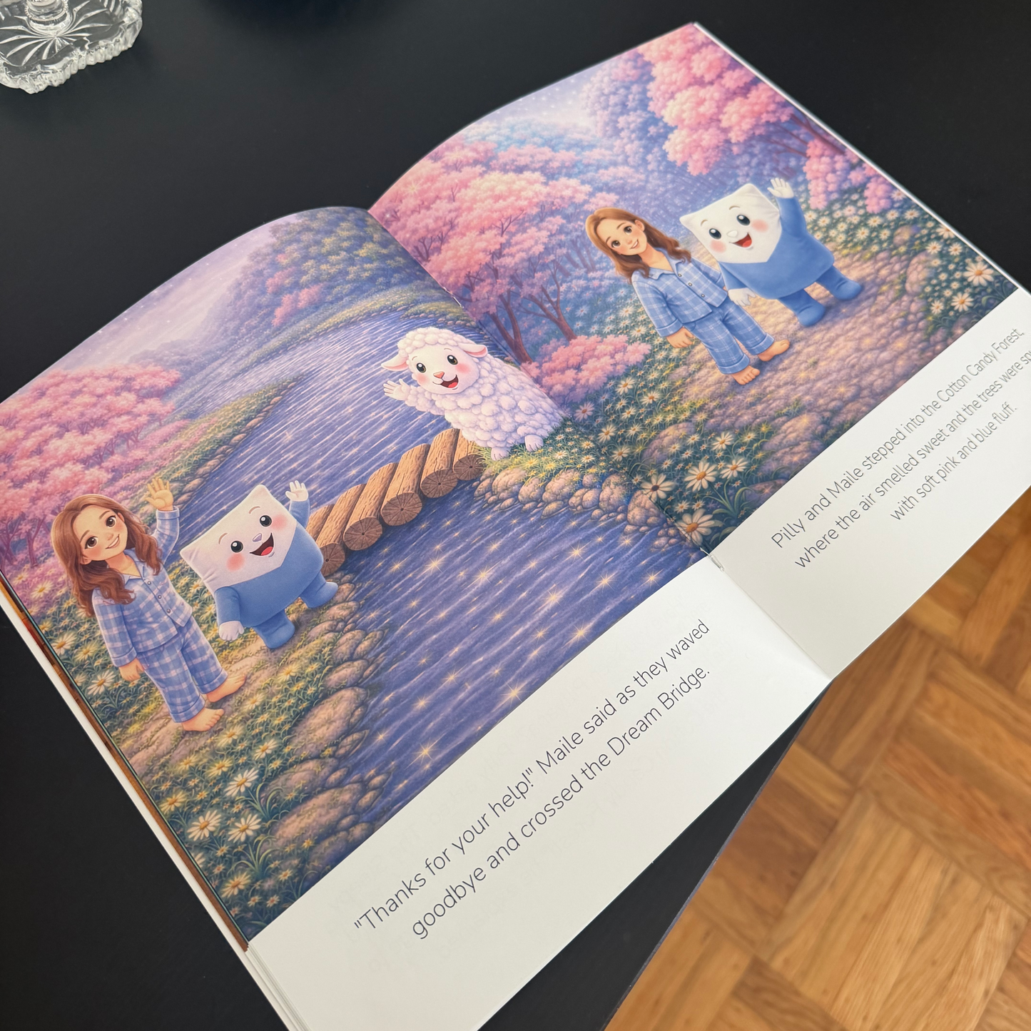 Saving the Day in Pillyland (Custom Book)